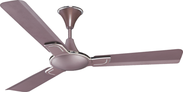 Spectra star Wooden Ceiling Fan 1200 MM - Image 3