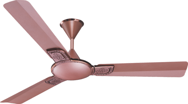 Spectra star Dog Wooden Ceiling Fan 1200 MM