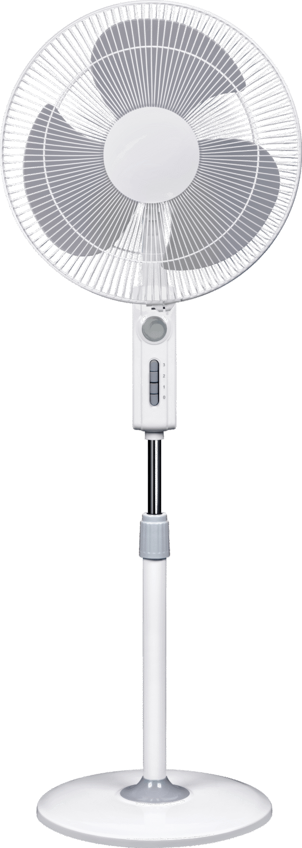 Pedestal Fan Fantasy Fan